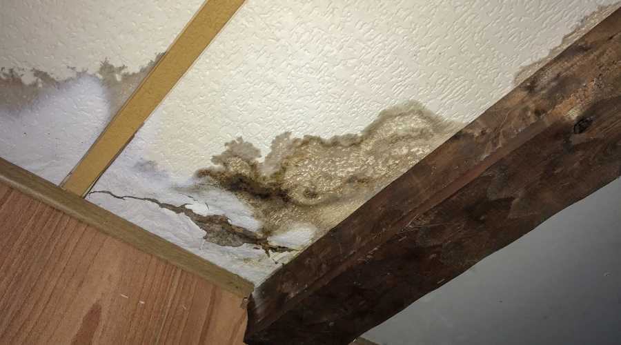7 Ways to Check for Water Damage in Your Stucco Home